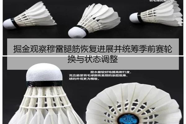 掘金观察穆雷腿筋恢复进展并统筹季前赛轮换与状态调整